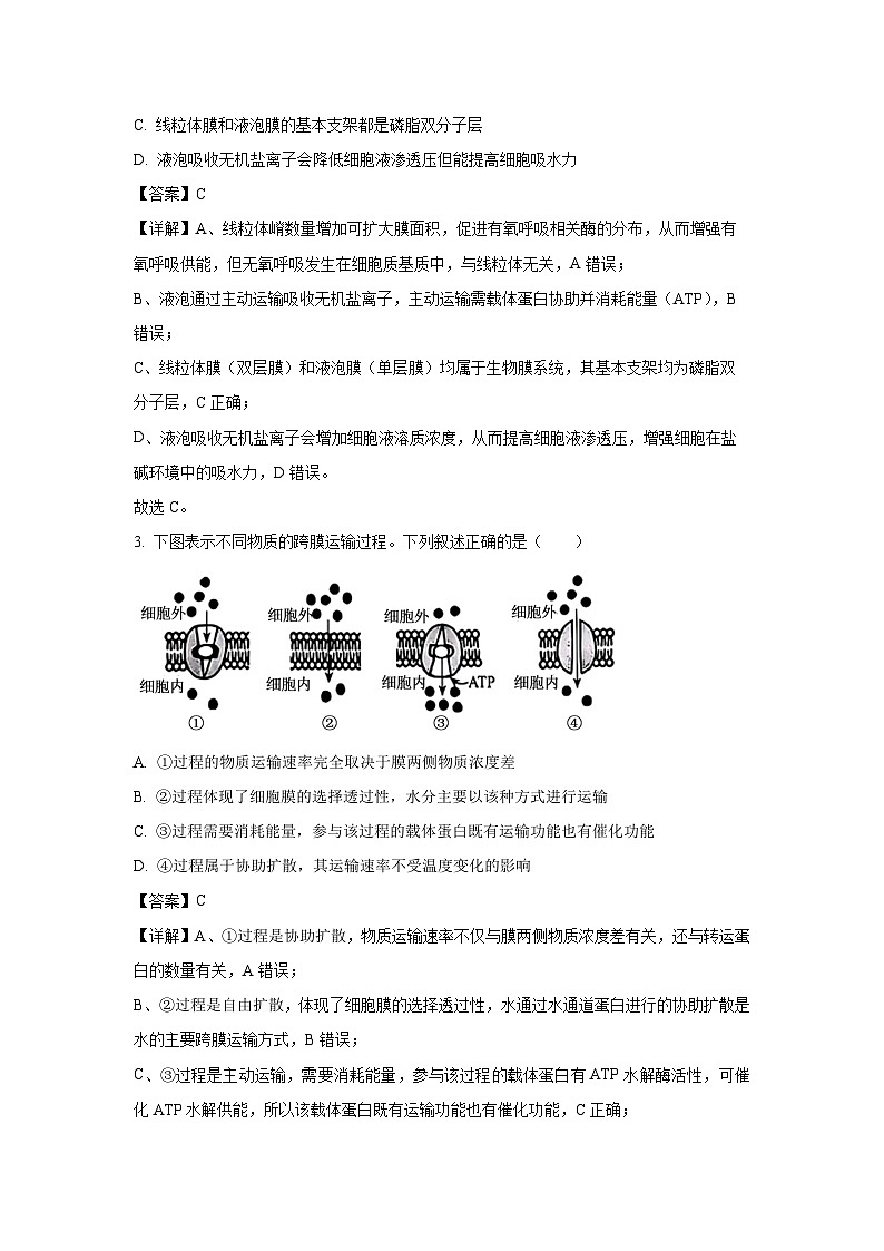 河南省新乡市青铜鸣2024-2025学年高二下学期6月联考生物试卷（解析版）第2页