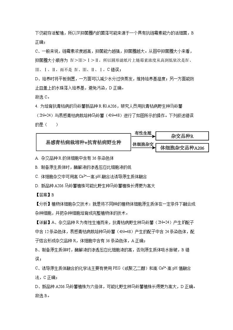 吉林省通化市2024-2025学年高二下学期4月质量检测生物试卷（解析版）第3页