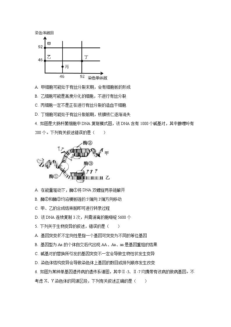四川省广安市前锋区2025-2026学年高三上学期9月月考生物试卷（学生版）第2页