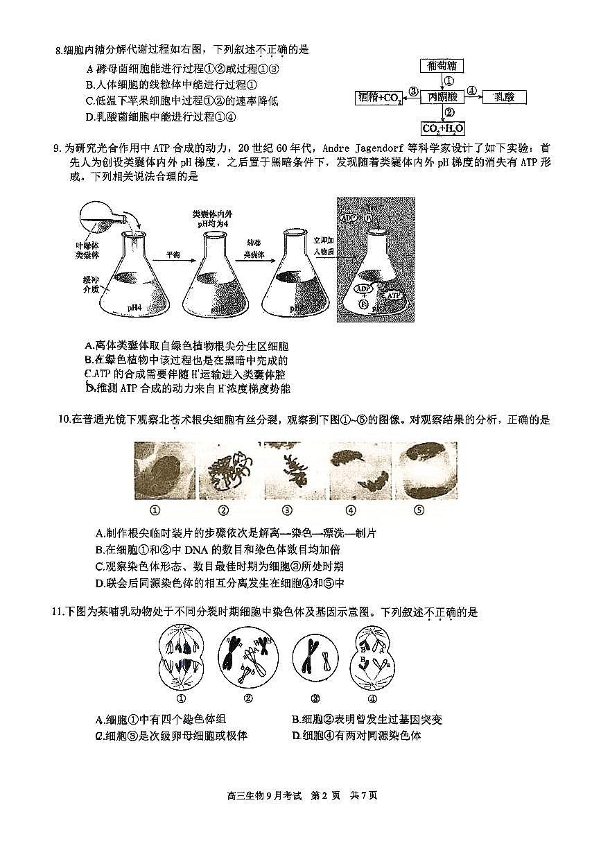 2025北京育才学校高三上9月月考生物试卷第2页