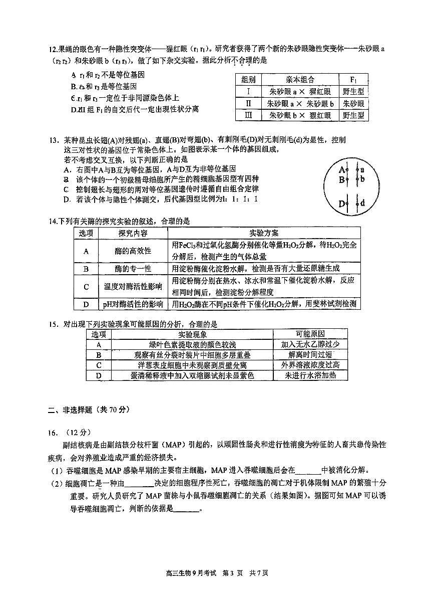 2025北京育才学校高三上9月月考生物试卷第3页