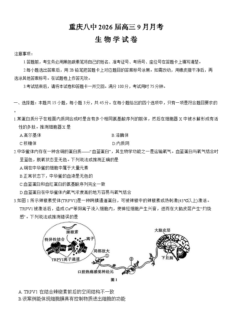 重庆市第八中学2026届高三9月高考适应性月考卷（一）生物试题（Word版附解析）第1页