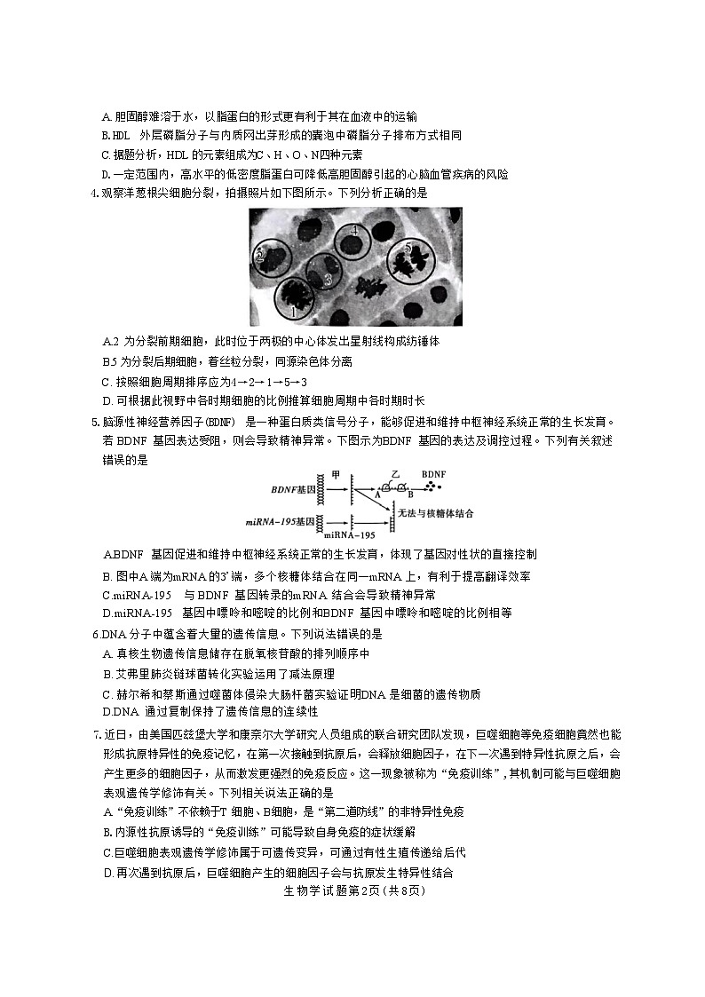 湖南省九校联盟2026届高三上学期9月第一次联考 生物试题 含答案第2页