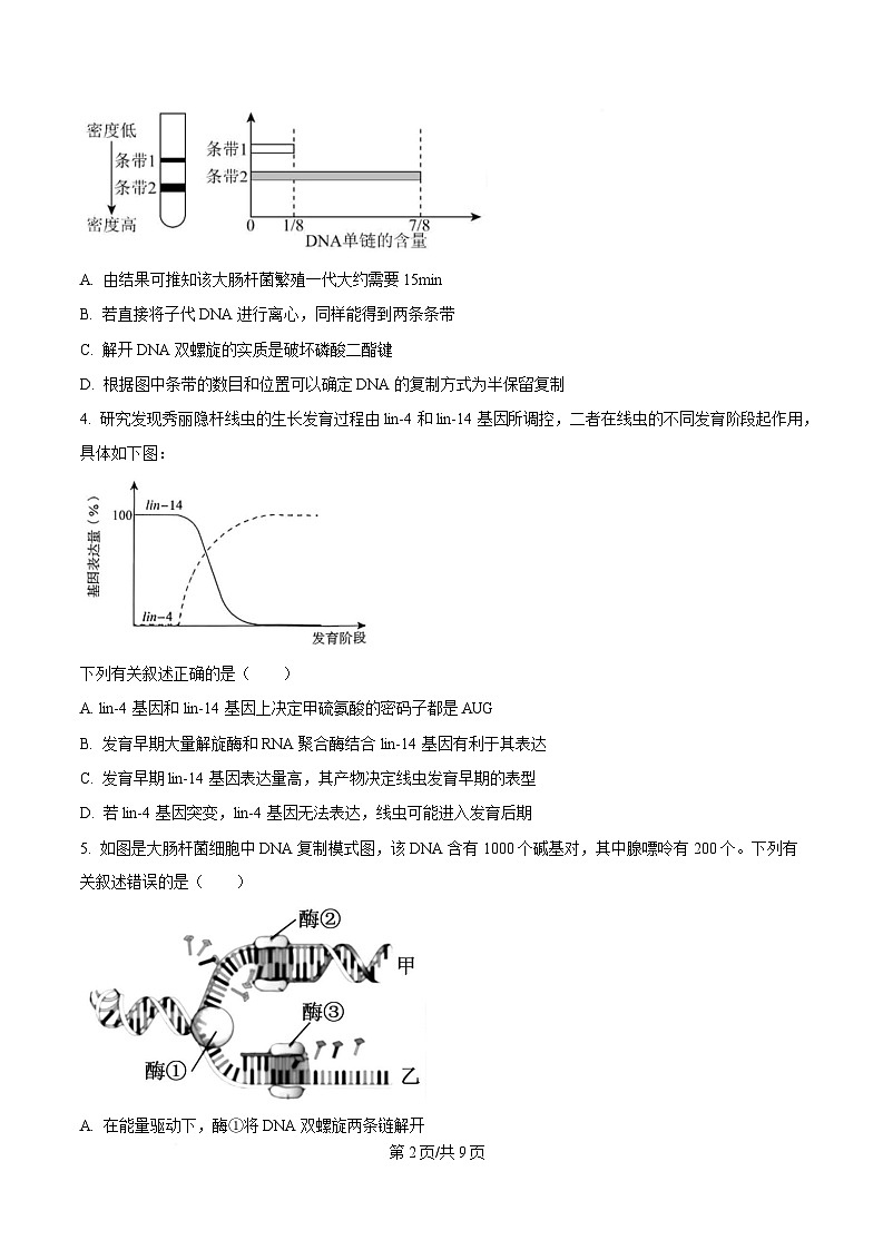 湖北省荆州中学2025-2026学年高二上学期9月双周练（月考）生物第2页