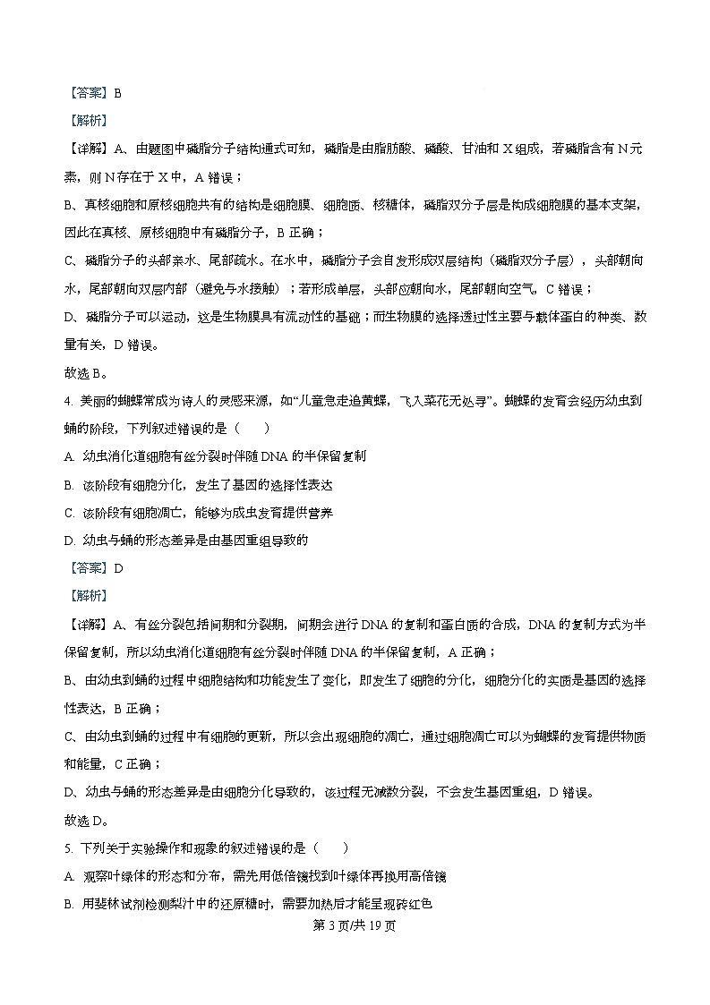 湖北省宜昌市2026届高三上学期9月起点考试生物试题含解析第3页