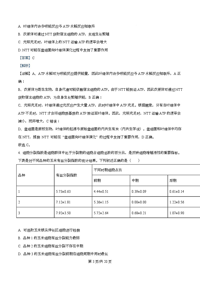 湖北省荆州市2026届高三上学期9月开学生物试题含解析第3页