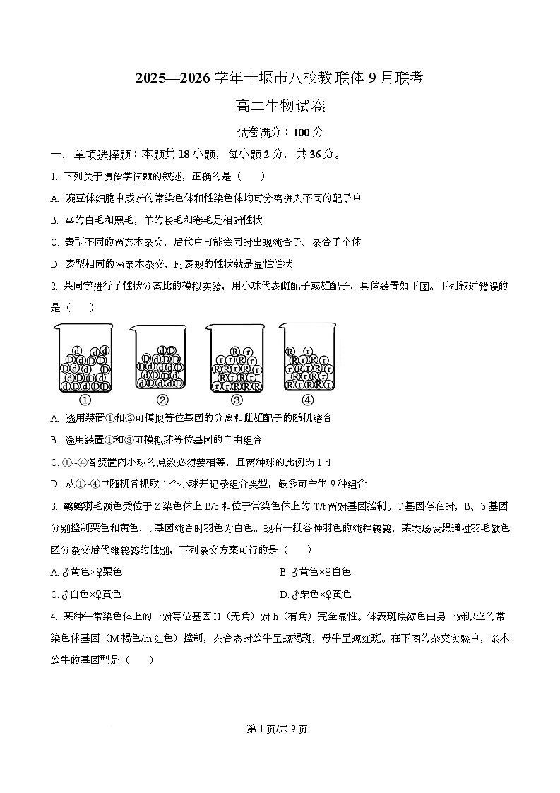 湖北省十堰市八校教联体学校2025-2026学年高二上学期9月月考生物试题无答案第1页