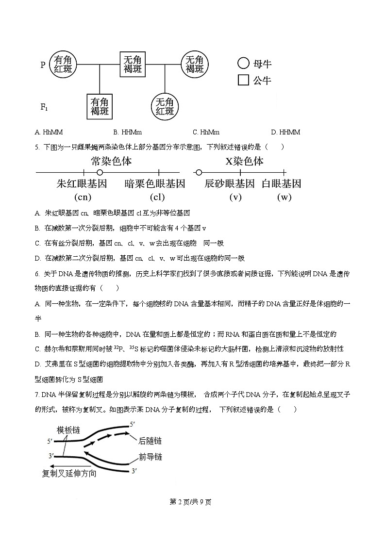 湖北省十堰市八校教联体学校2025-2026学年高二上学期9月月考生物试题无答案第2页