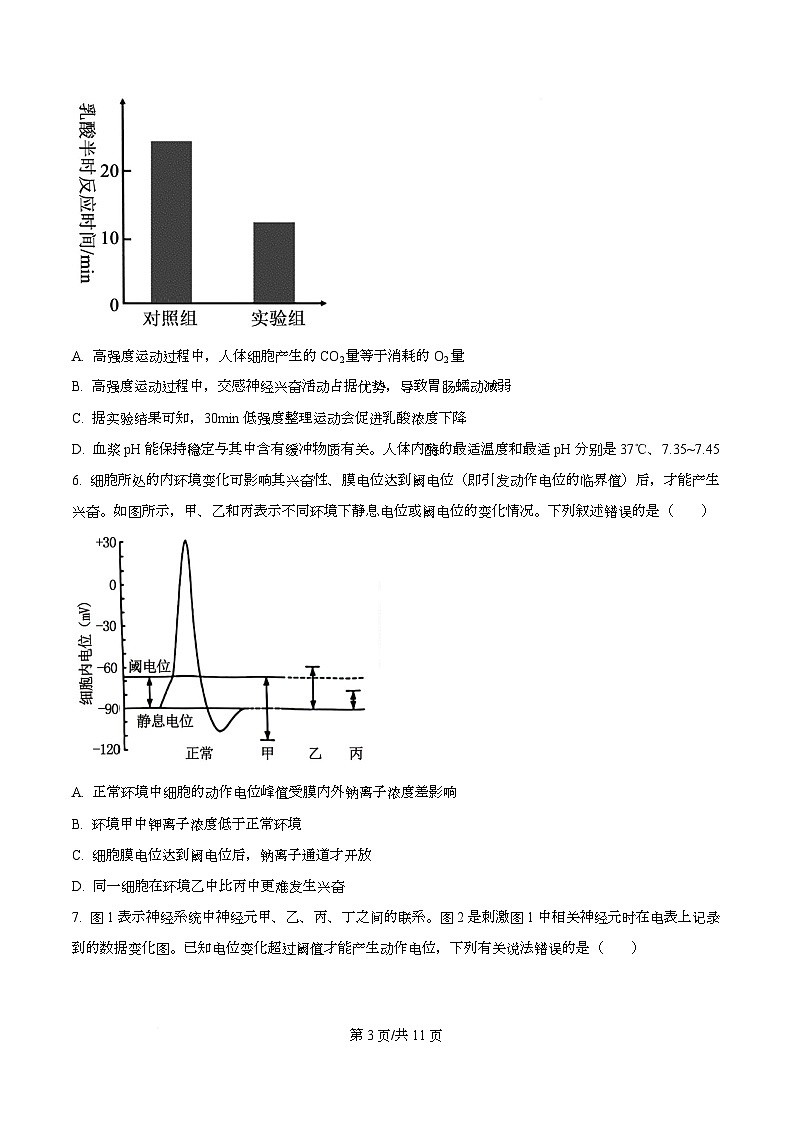 湖北省襄阳市第四中学2025-2026学年高二上学期9月月考生物试题无答案第3页