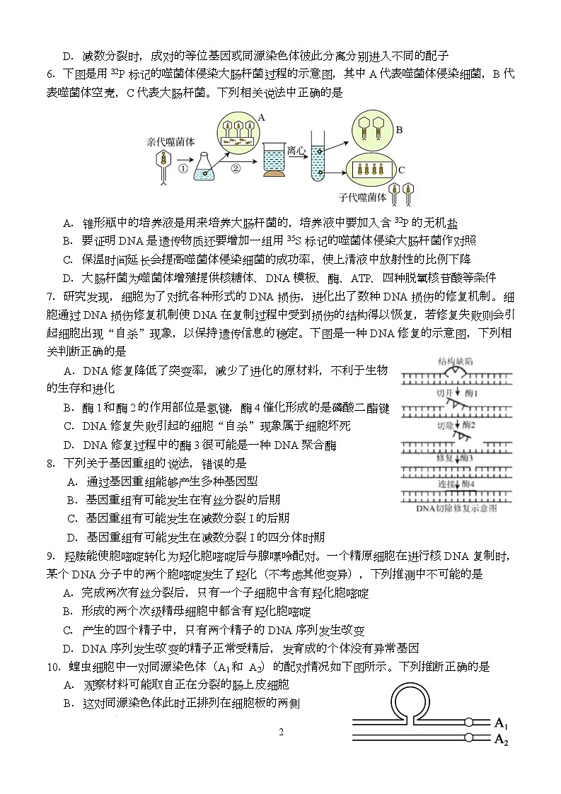 2026荆州沙中学高二上学期9月月考生物试卷含答案第2页