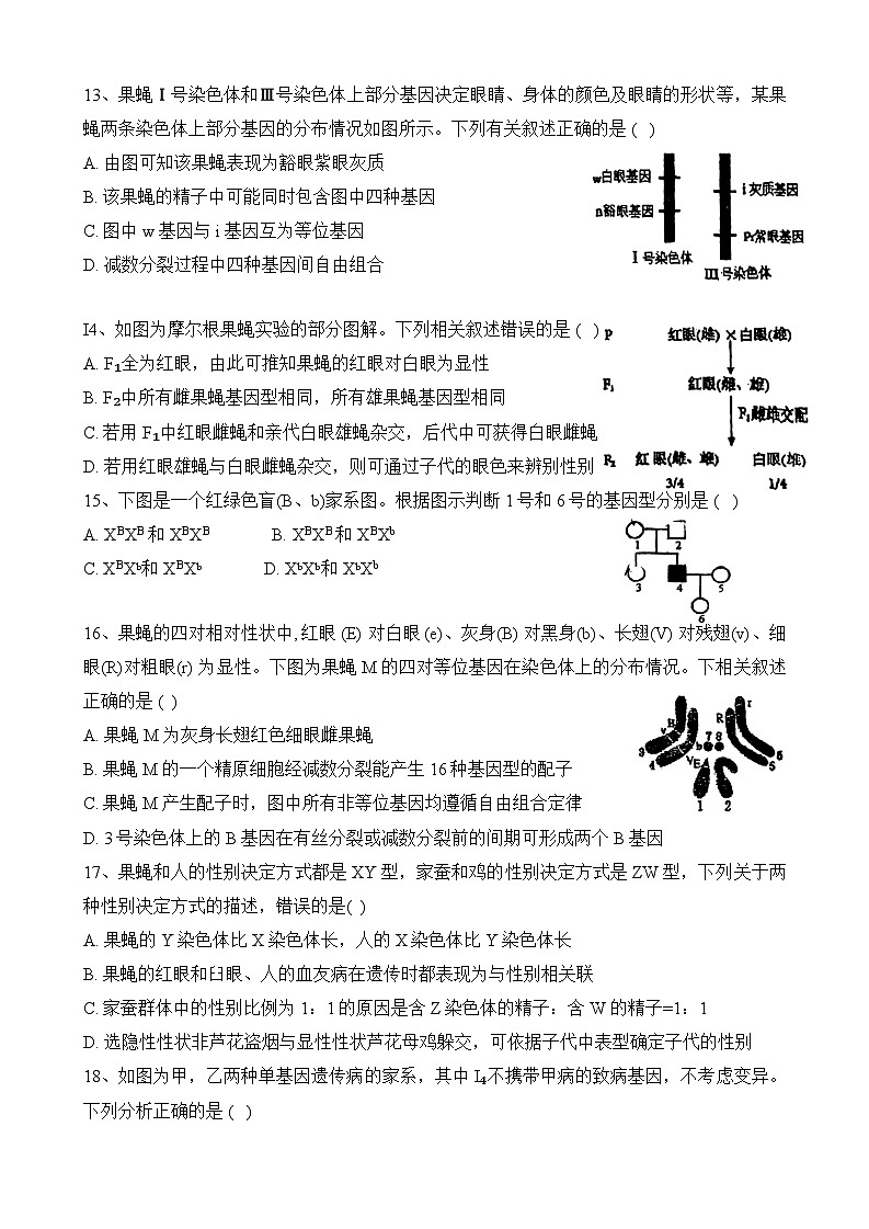 黑龙江省哈尔滨师范大学附属中学2022--2023学年高一下学期期中考试生物试卷第3页