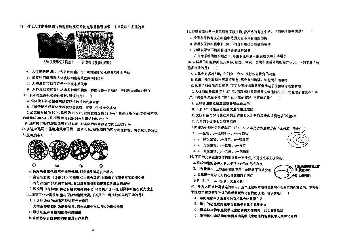 黑龙江省哈尔滨市德强高级中学2024-2025学年高一上学期9月生物学科试卷第2页