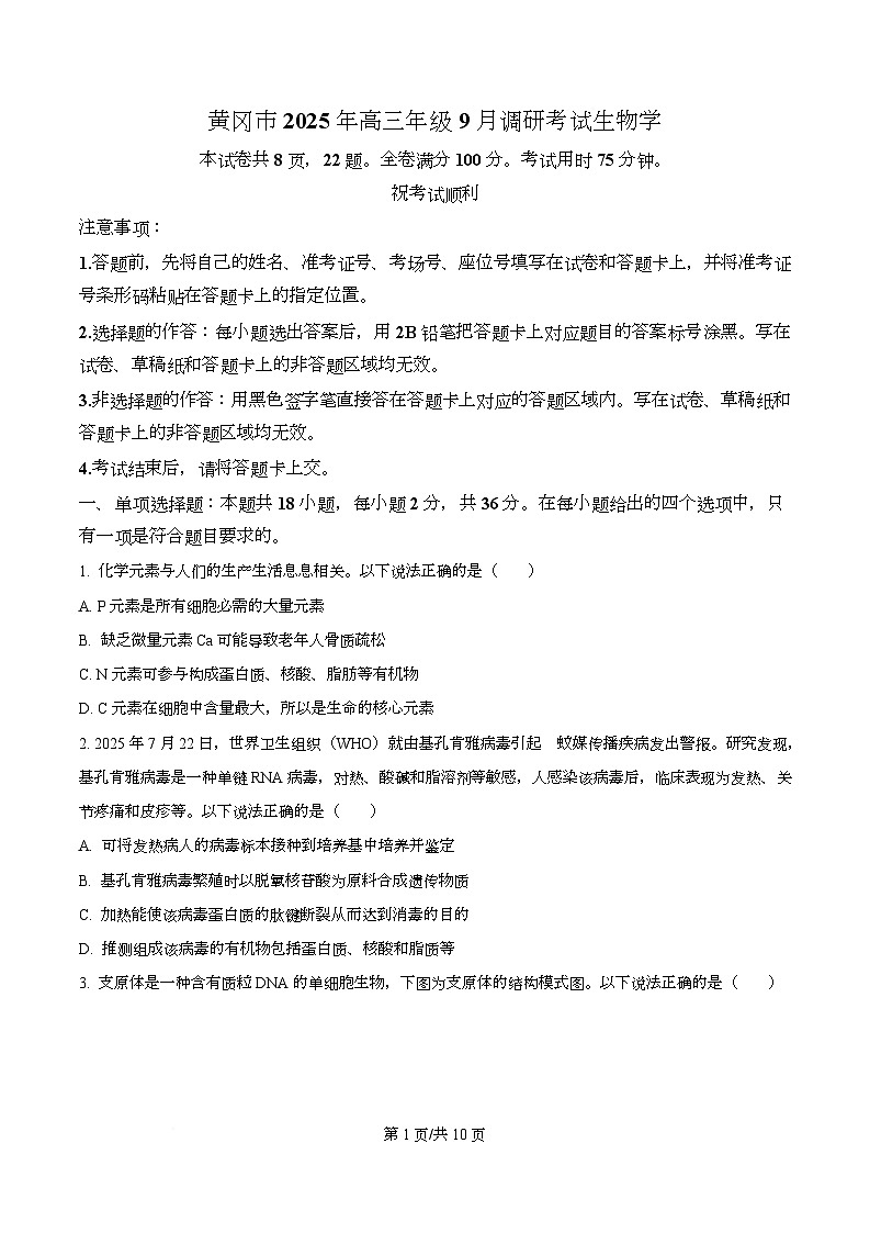 2026届湖北省黄冈市高三九月调研考试生物试题 Word版无答案第1页