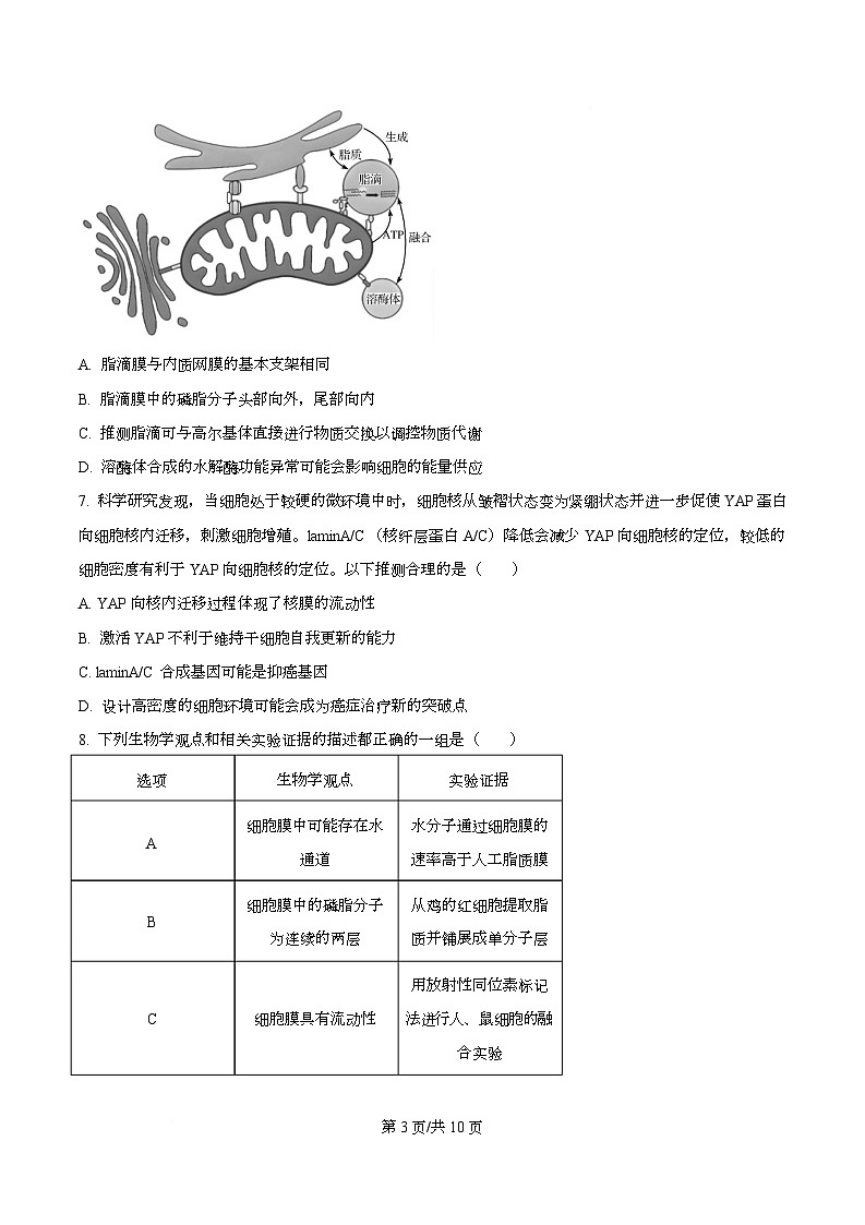 2026届湖北省黄冈市高三九月调研考试生物试题 Word版无答案第3页