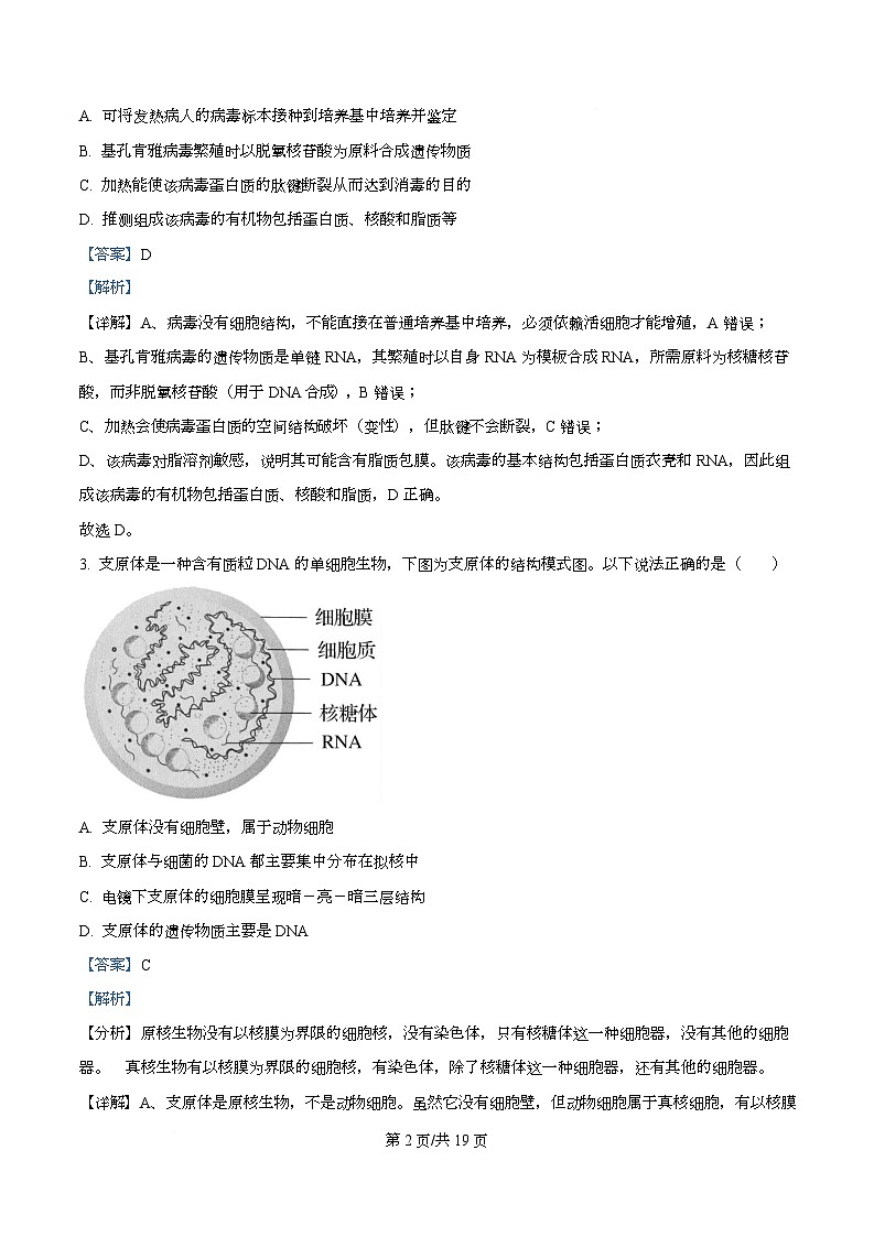 2026届湖北省黄冈市高三九月调研考试生物试题 Word版含解析第2页