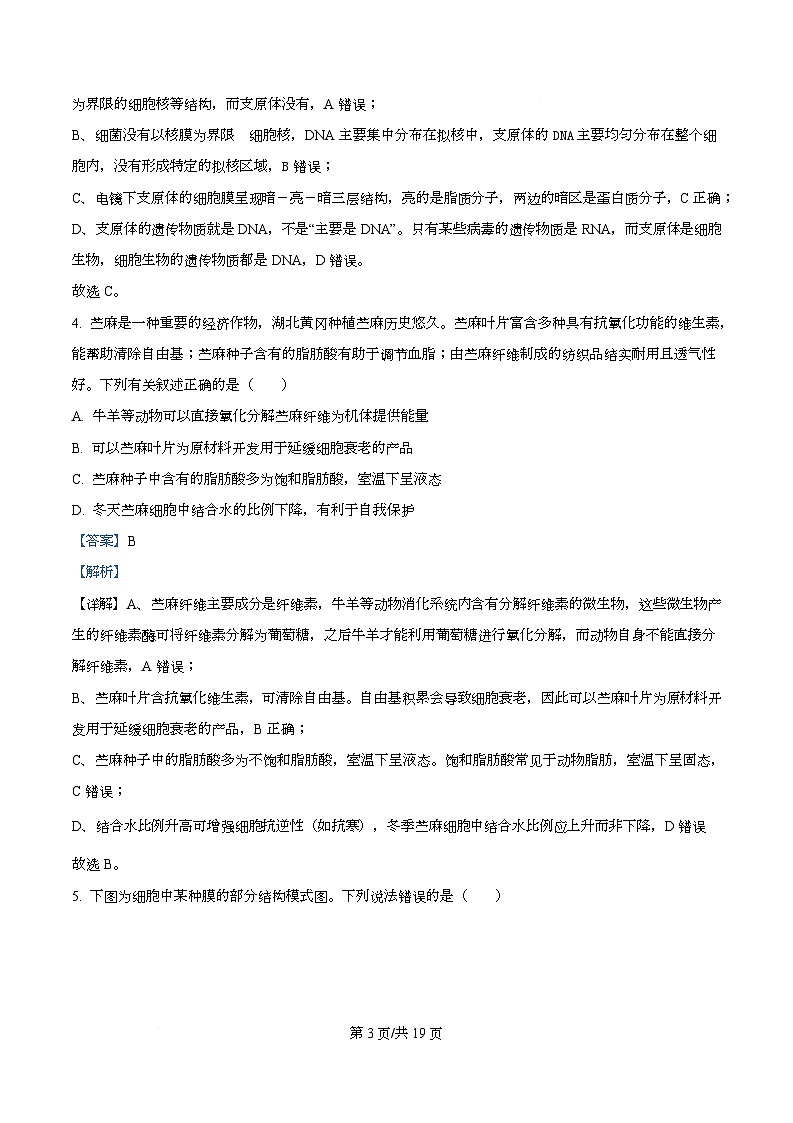 2026届湖北省黄冈市高三九月调研考试生物试题 Word版含解析第3页