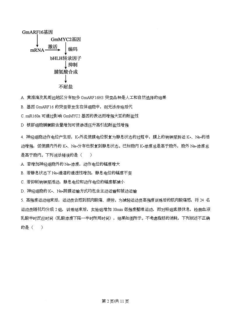 湖北省襄阳市第四中学2025-2026学年高二上学期9月月考生物试题 Word版无答案第2页