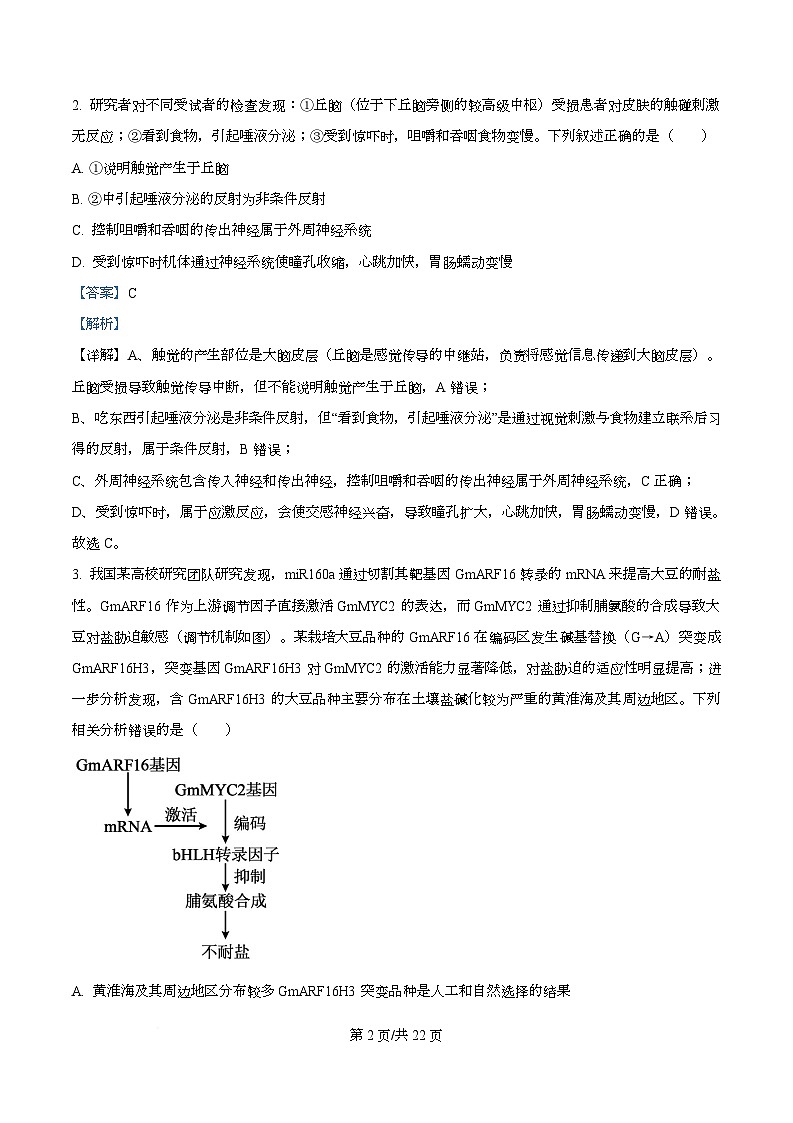 湖北省襄阳市第四中学2025-2026学年高二上学期9月月考生物试题 Word版含解析第2页
