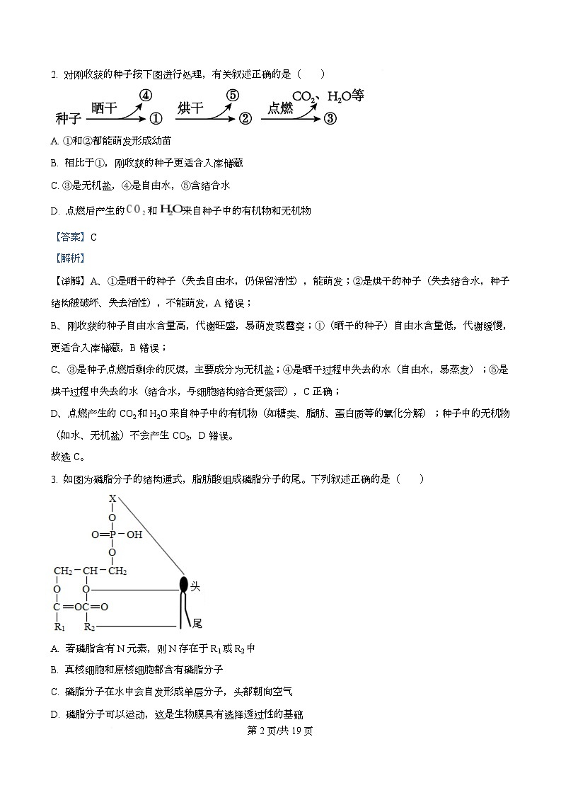 湖北省宜昌市2026届高三上学期9月起点考试生物试题 Word版含解析第2页