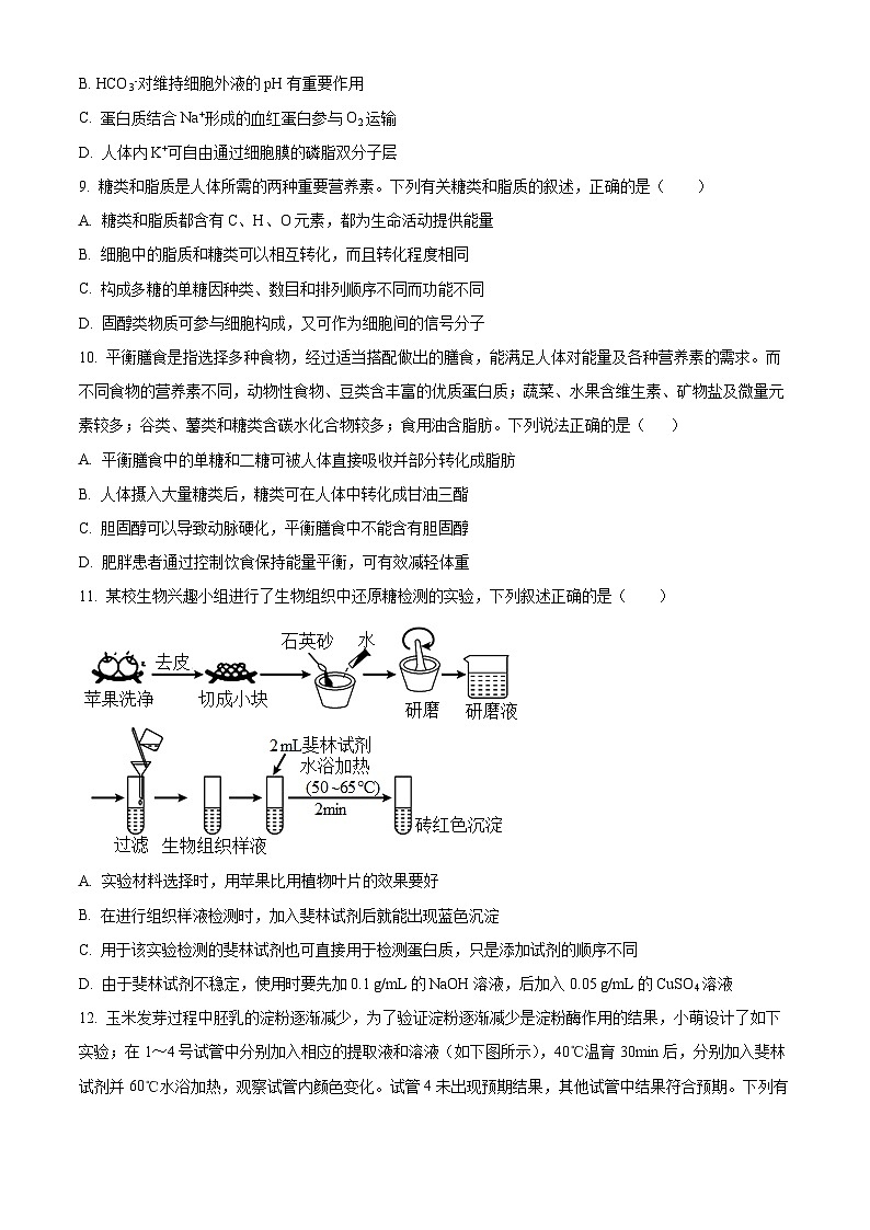 湖北省部分高中协作体联考2025-2026学年高一上学期9月月考生物试题（原卷版）第3页