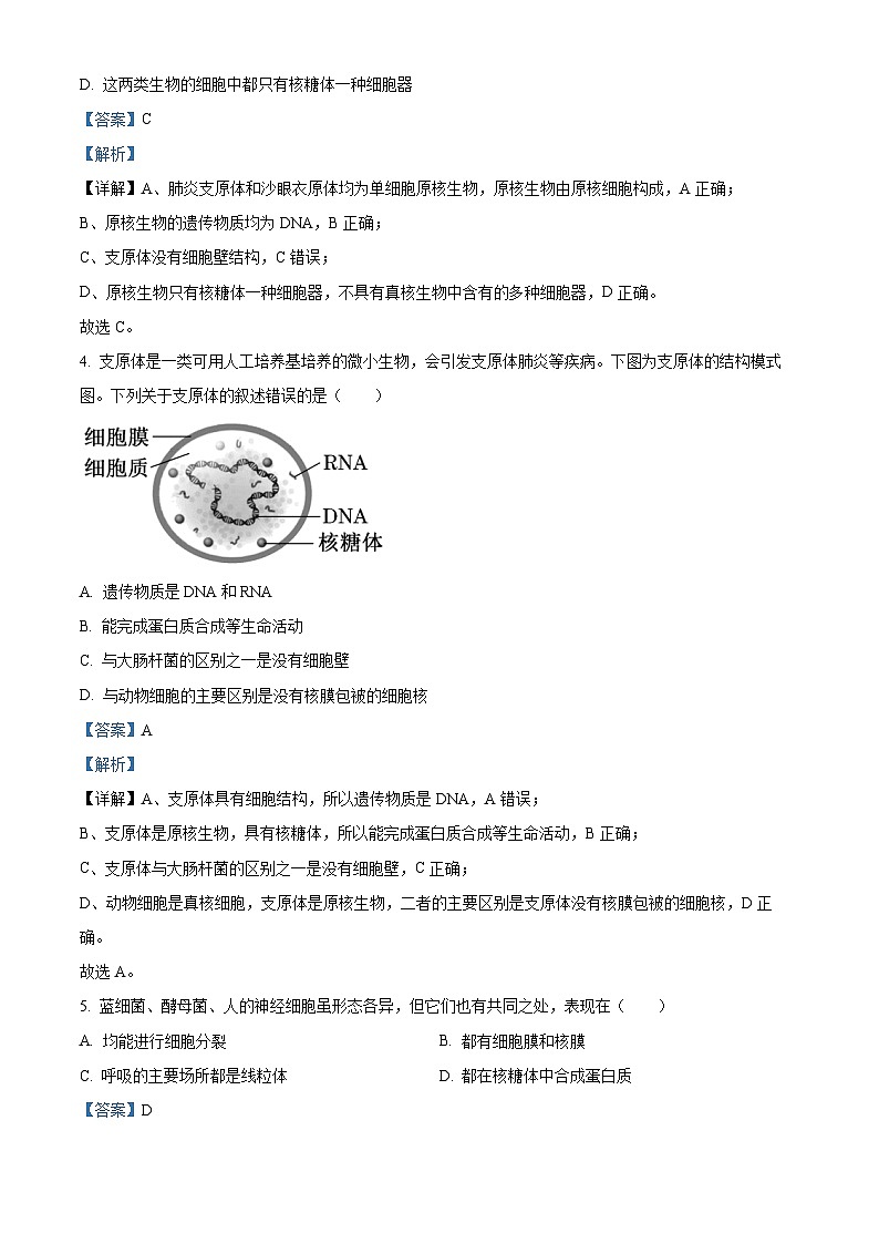湖北省部分高中协作体联考2025-2026学年高一上学期9月月考生物试题 Word版含解析第3页