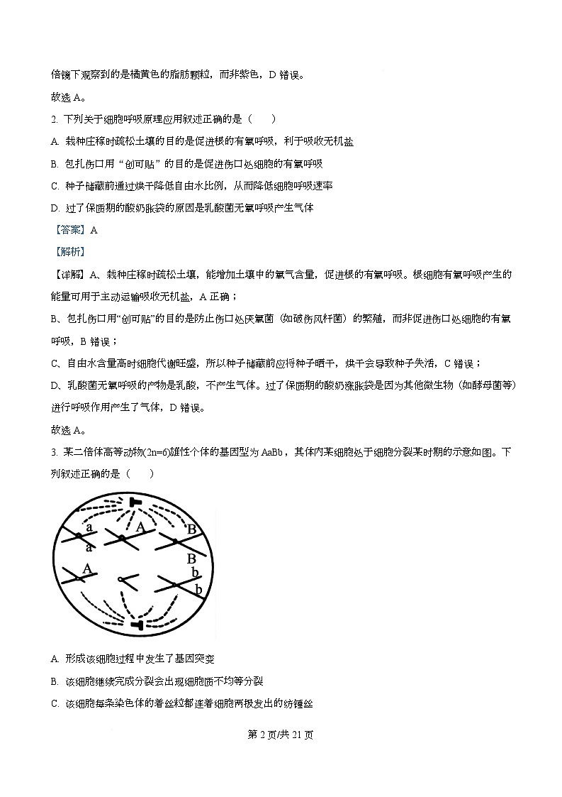 湖北省部分名校2026届高三上学期9月月考生物试题 Word版含解析第2页