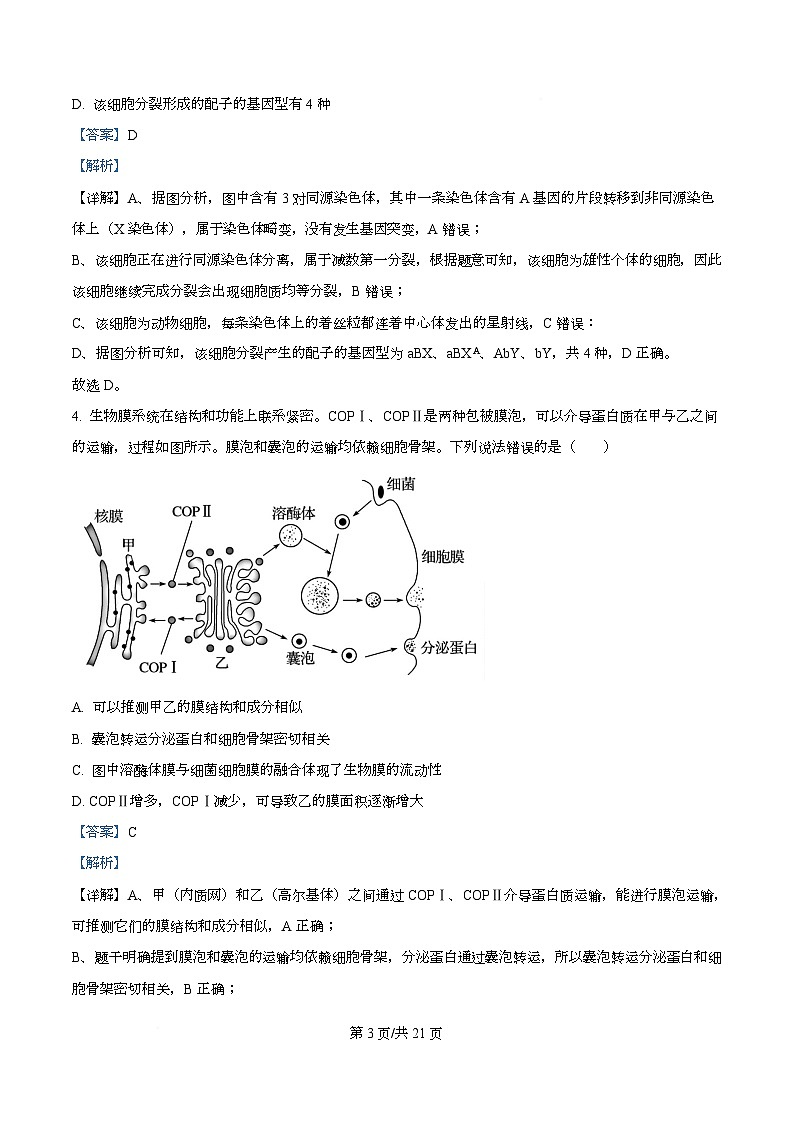 湖北省部分名校2026届高三上学期9月月考生物试题 Word版含解析第3页