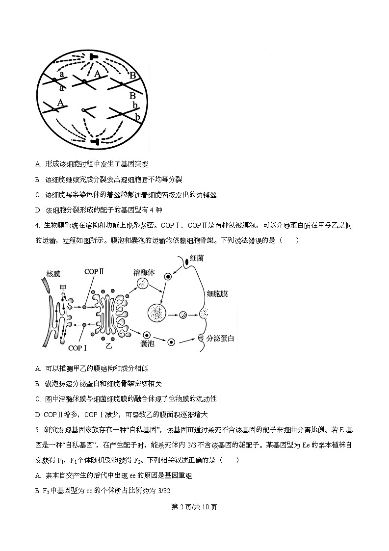 湖北省部分名校2026届高三上学期9月月考生物试题 Word版无答案第2页