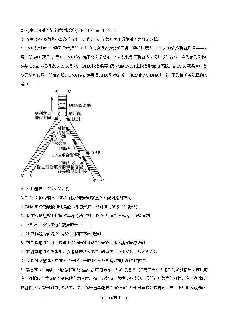 湖北省部分名校2026届高三上学期9月月考生物试题 Word版无答案第3页