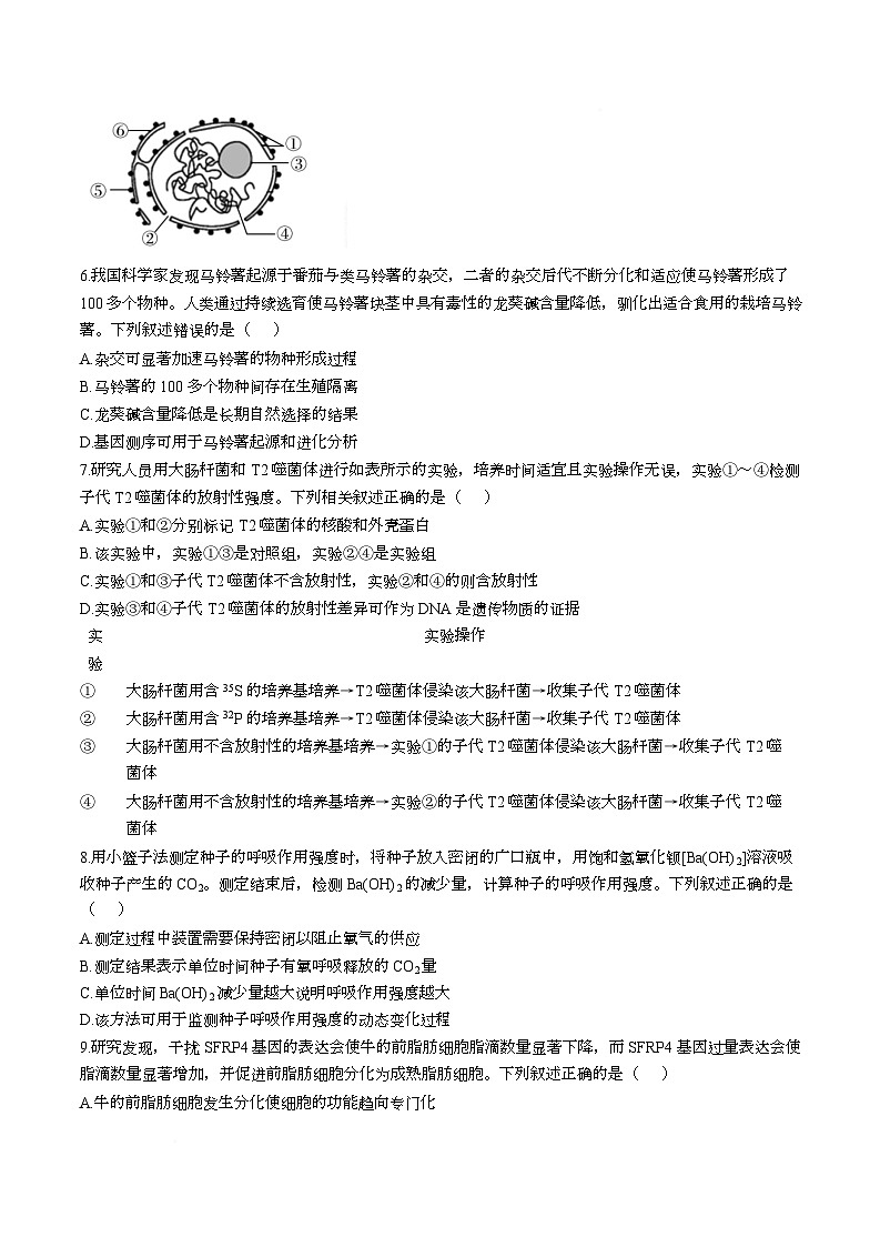 湖南省部分学校2026届高三上学期9月大联考生物试题（Word版附答案）第2页