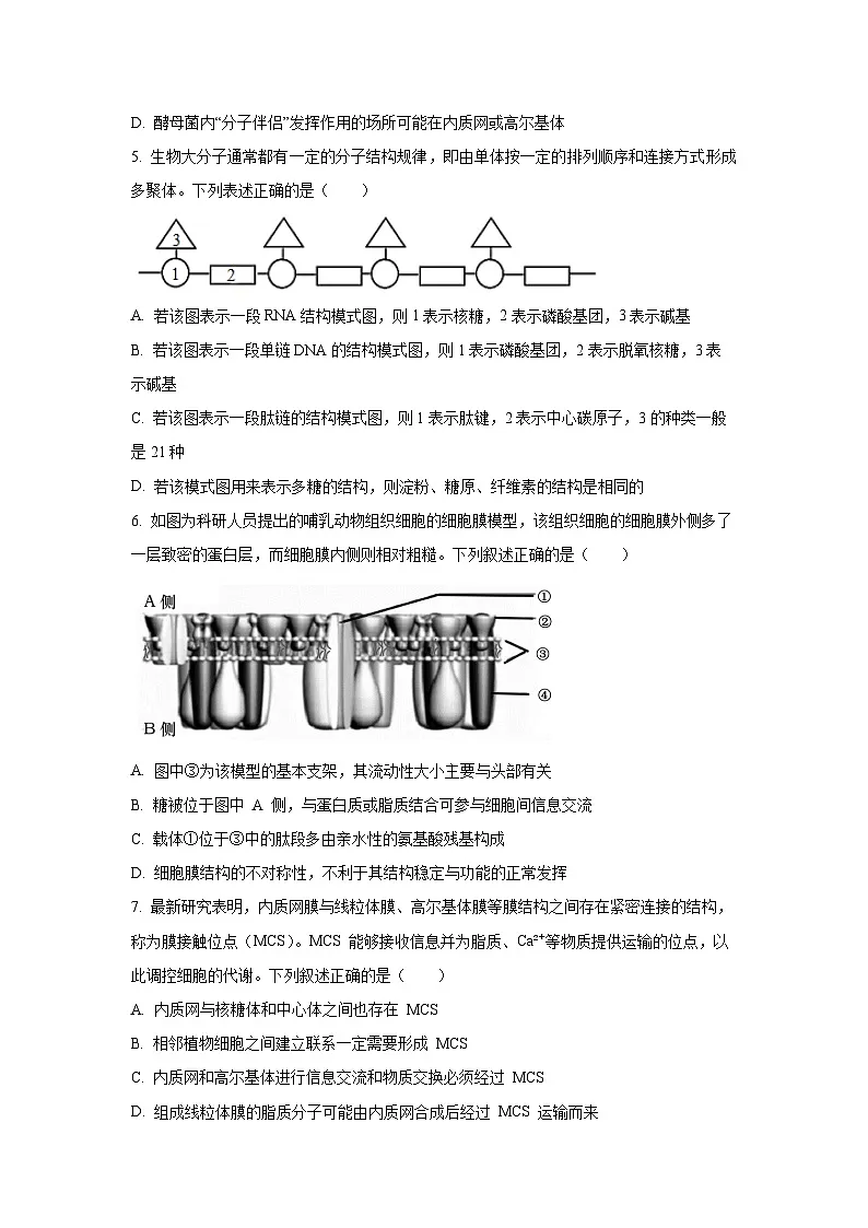 山东省聊城市2024-2025学年高一上学期期末教学质量抽测生物试卷（学生版）第2页