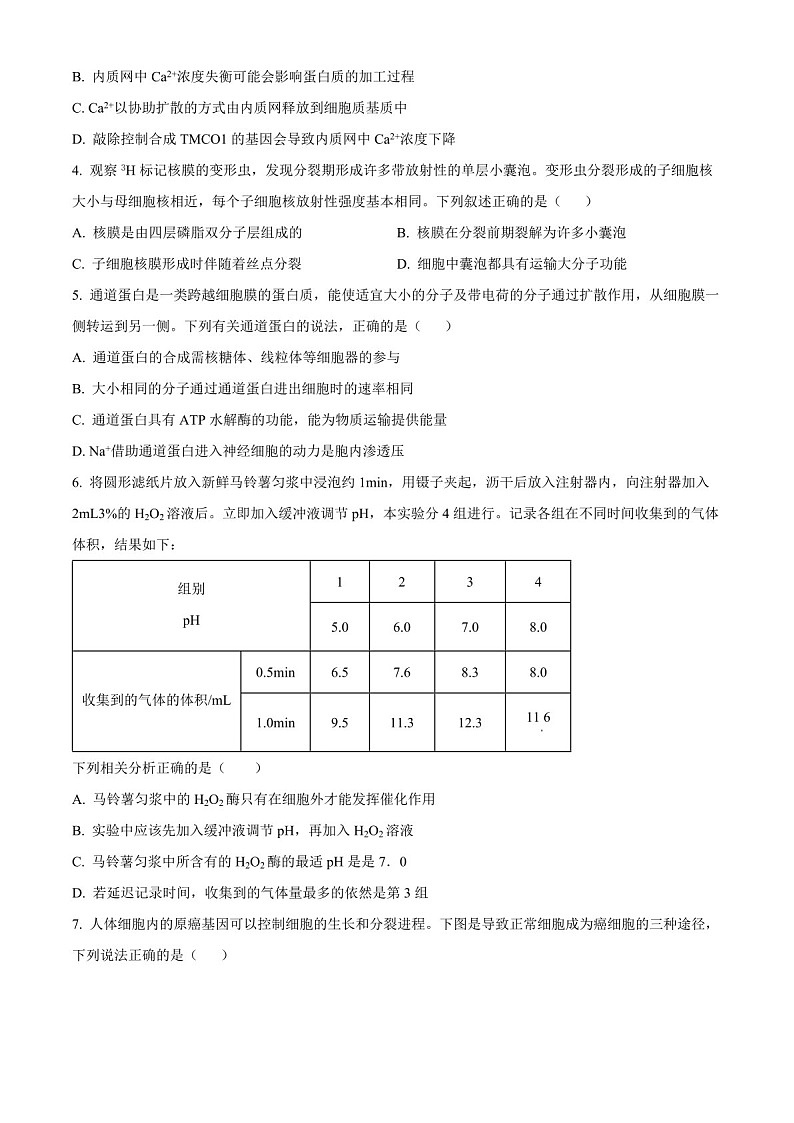 陕西省十七校联考2025届高三上学期11月期中考-生物试题（含答案）第2页