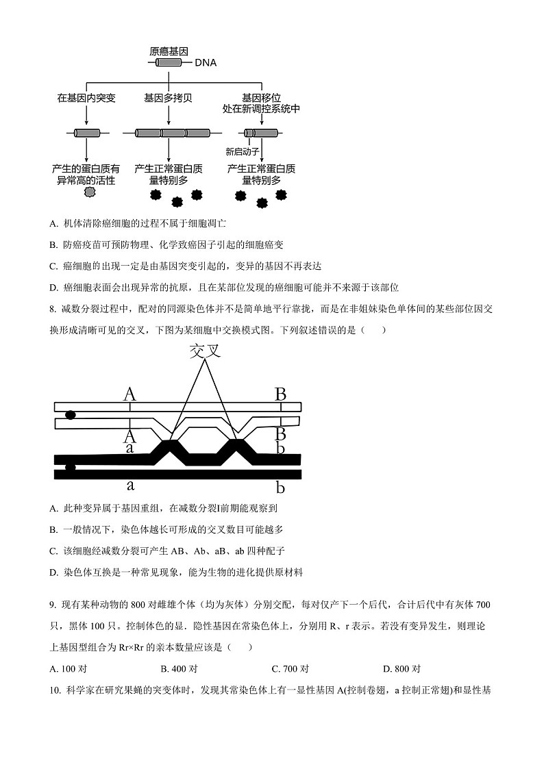 陕西省十七校联考2025届高三上学期11月期中考-生物试题（含答案）第3页