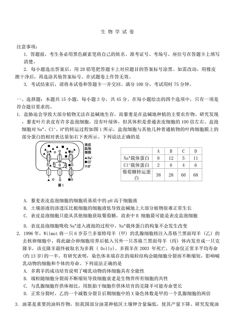 重庆市第八中学2025届高三上学期11月适应性月考（三）-生物试题（含答案）第1页