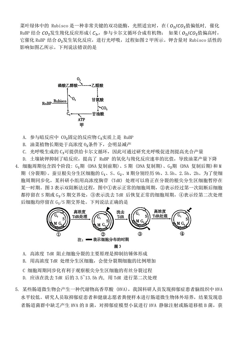 重庆市第八中学2025届高三上学期11月适应性月考（三）-生物试题（含答案）第2页