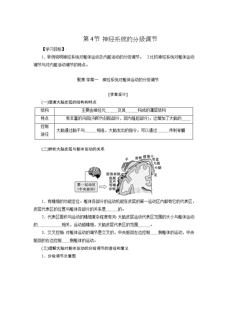高二生物人教版选择性必修一导学案第2章第4节神经系统的分级调节（Word版附解析）第1页