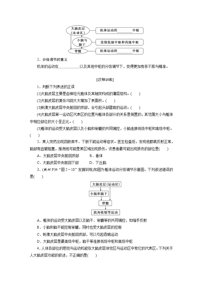 高二生物人教版选择性必修一导学案第2章第4节神经系统的分级调节（Word版附解析）第2页