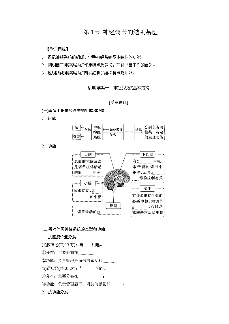 高二生物人教版选择性必修一导学案第2章第1节神经调节的结构基础（Word版附解析）第2页