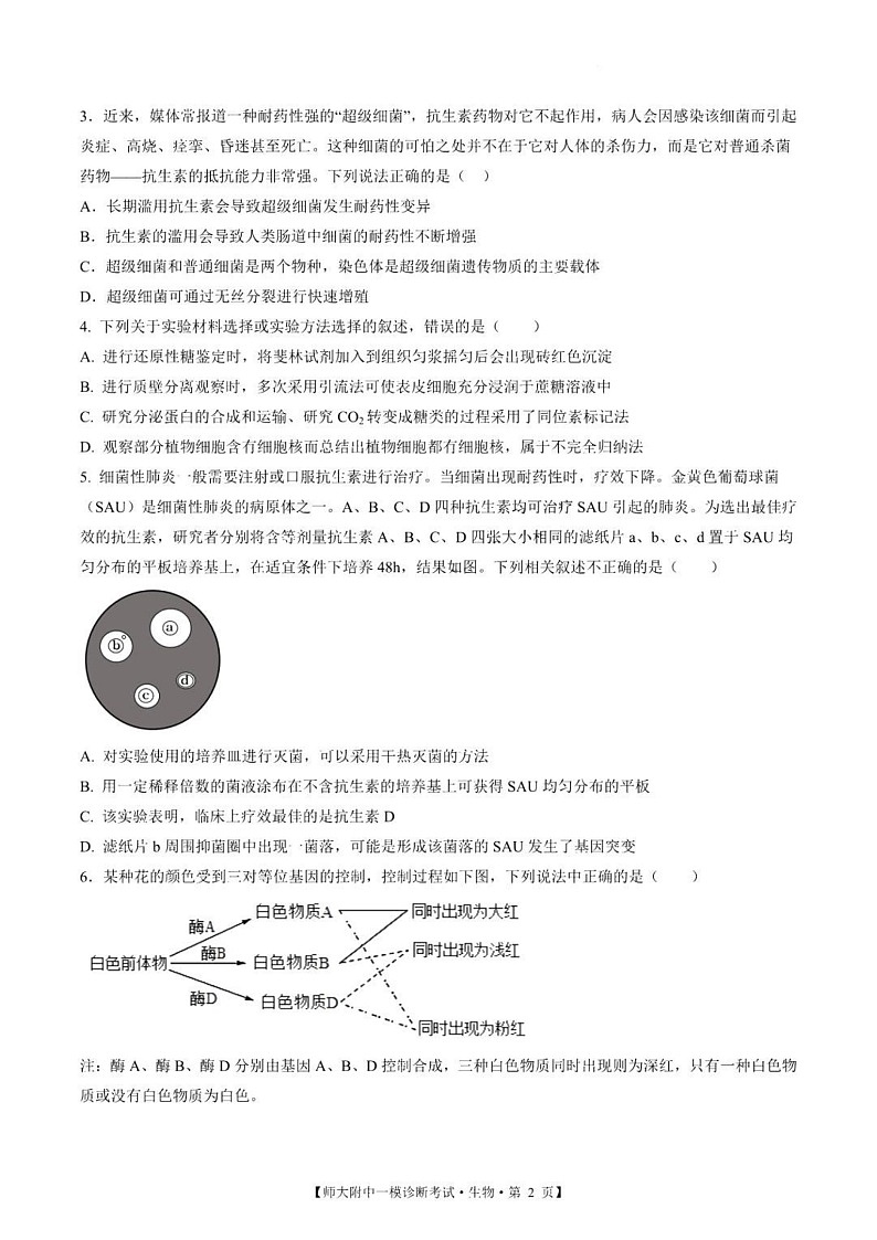 甘肃省西北师范大学附属中学2025届高三上学期一模诊断考试生物试题（含答案）第2页