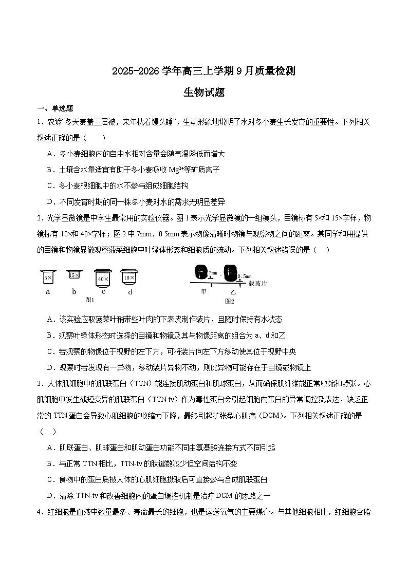 河北省保定市十校2026届高三上学期9月质量检测生物试卷（Word版附答案）第1页