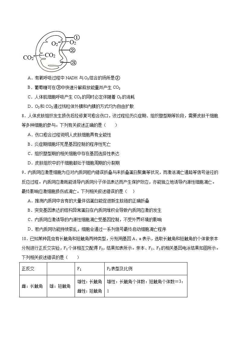 河北省保定市十校2026届高三上学期9月质量检测生物试卷（Word版附答案）第3页