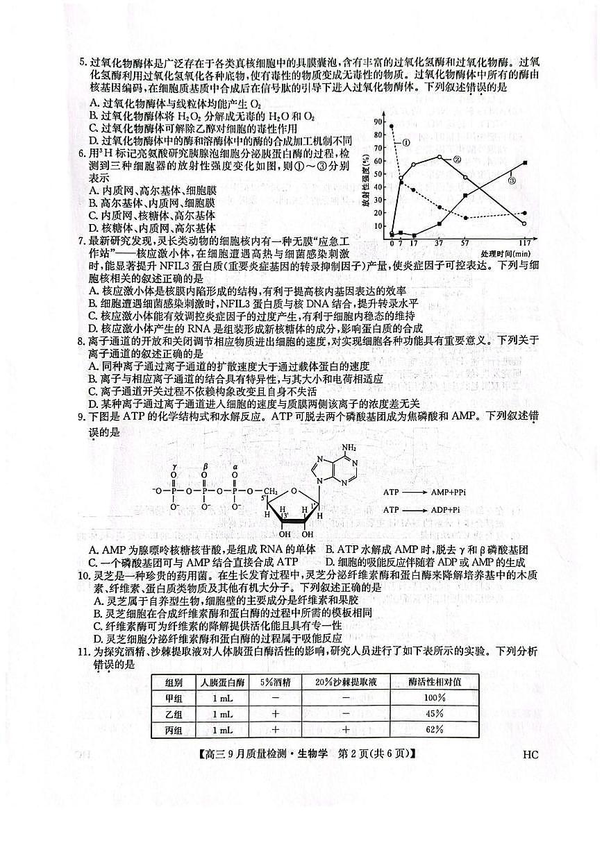 九师联盟2026届高三上学期9月质量检测（HC）生物试卷（PDF版附解析）第2页