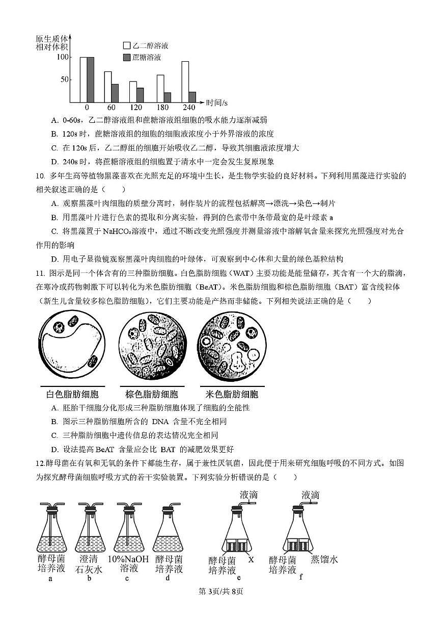 四川省内江市五校2026届高三上学期9月月考生物试卷（PDF版附答案）第3页