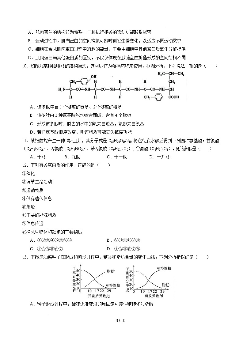 高一生物第一次月考卷【测试范围：人教版2019必修1第1章~第3章】（考试版）第3页