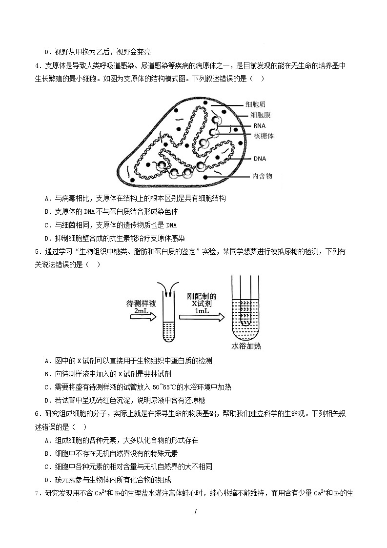高一生物上学期第一次月考（江苏专用） 【测试范围：人教版2019必修1第1章~第2章】（考试版）第2页