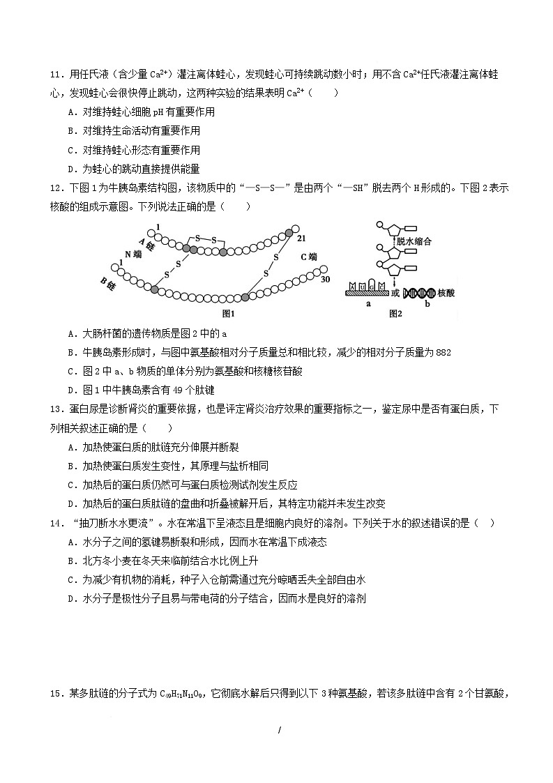 高一生物第一次月考卷多选题【测试范围：人教版2019必修1前2章】（考试版）第3页