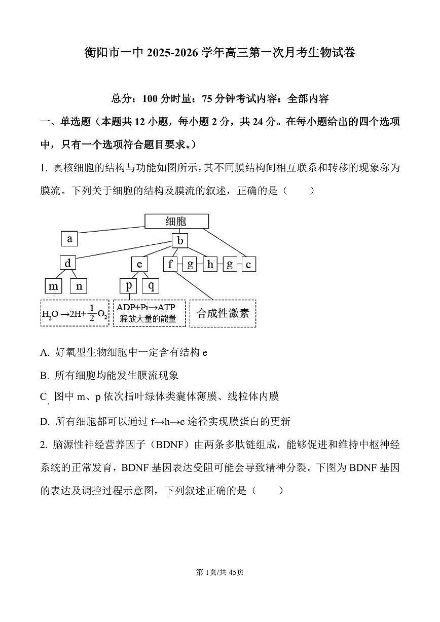 衡阳市一中2025-2026学年高三上学期第一次月考生物试卷含答案第1页