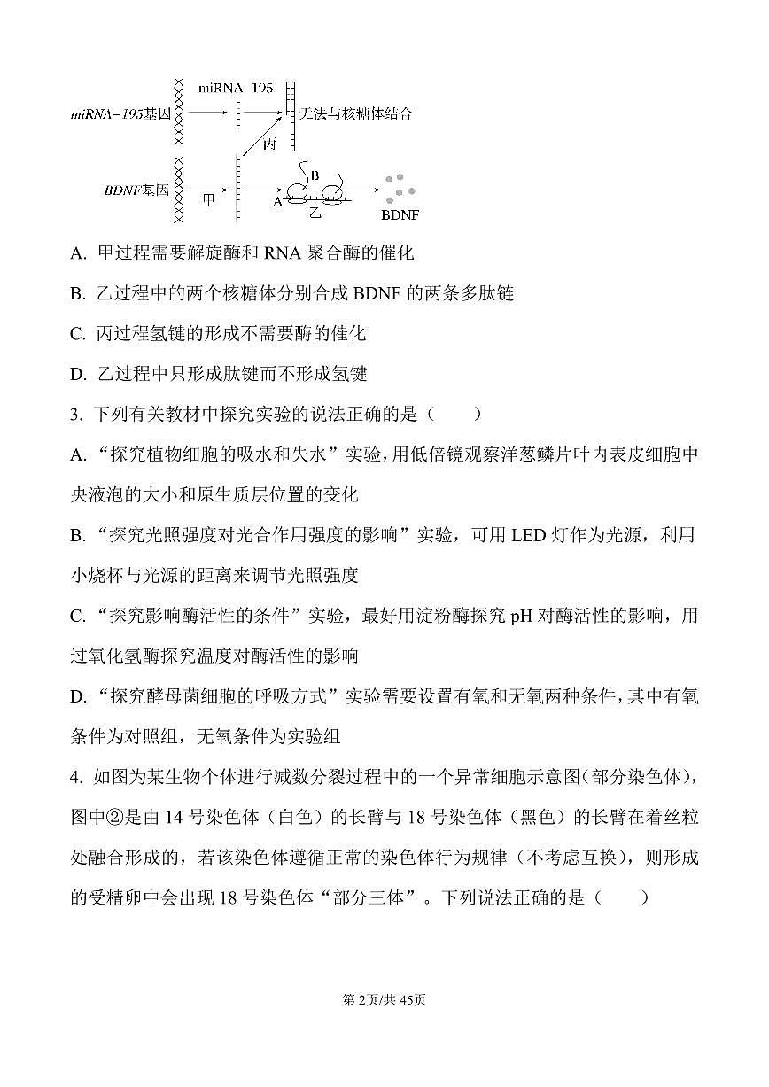衡阳市一中2025-2026学年高三上学期第一次月考生物试卷含答案第2页