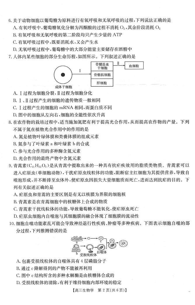 生物试卷-山西陕西金太阳2026届高三9月联考第2页