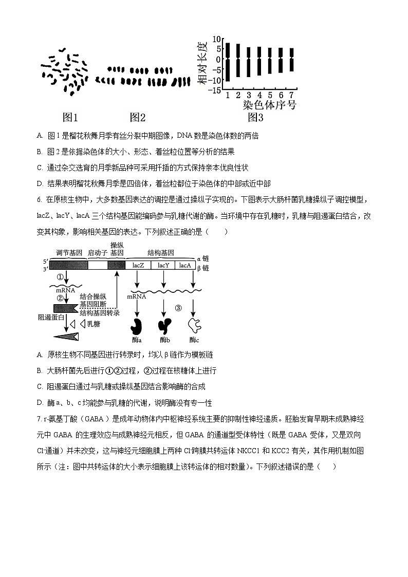 河北省石家庄市第一中学2025-2026学年高三上学期9月月考生物试题  Word版无答案第3页